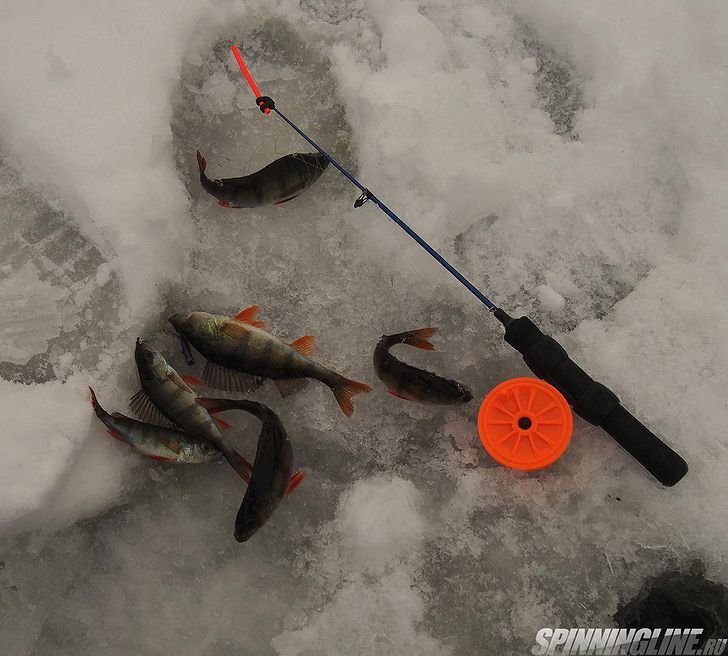  При ловле со льда Яматойо Аддикт нашла своё применение в ловле окуня 